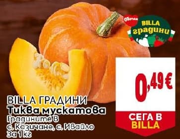 BILLA ГРАДИНИ Тиква мускатова