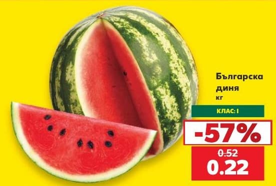 Българска диня
