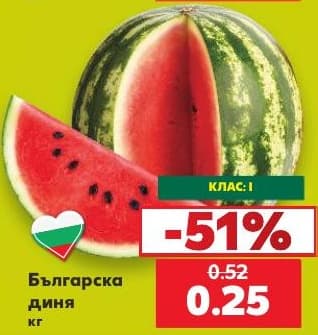 Българска диня
