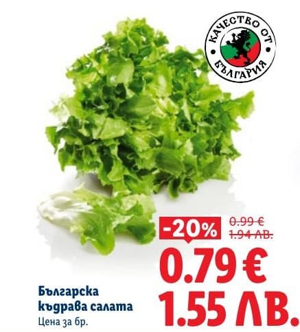 Българска къдрава салата